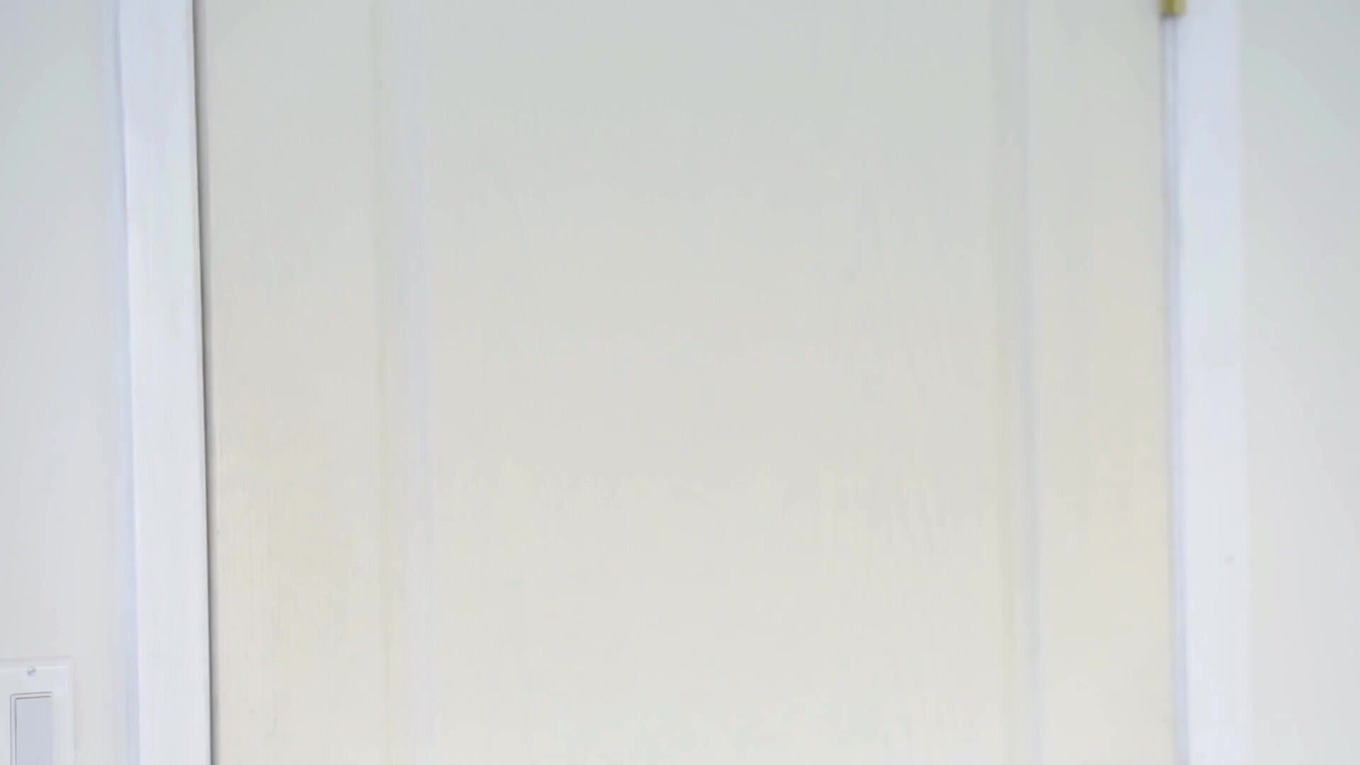 The Sex Crazed Lesbians