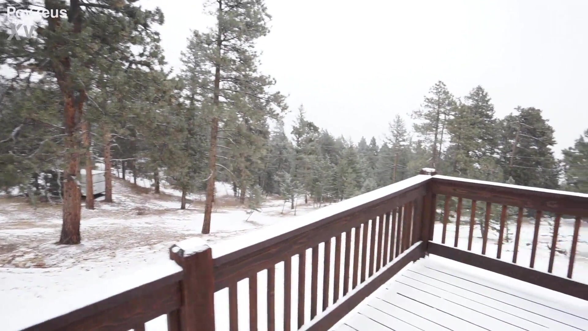 Kali Roses winter escape