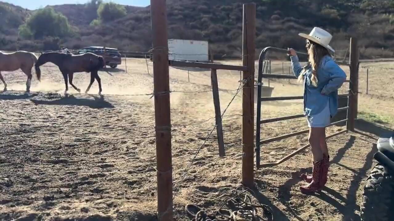 Blake Blossom - Country Girl's Neighbor
