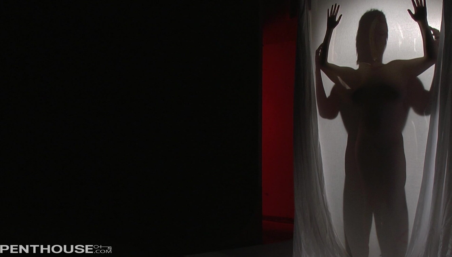 Penthouse - Siri in Blossming Top