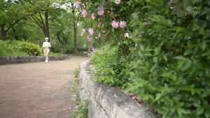 MFYD-065 She meets a young man while jogging and brings him home for a quick blowjob! She swallows his cum with a delicious look on her face! This sweaty, plump, and voluptuous wife, Mei Mizuki