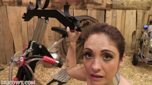 HuCows - Alba Zevon - Milking Stocks