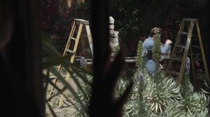 NewSensations - Annie King