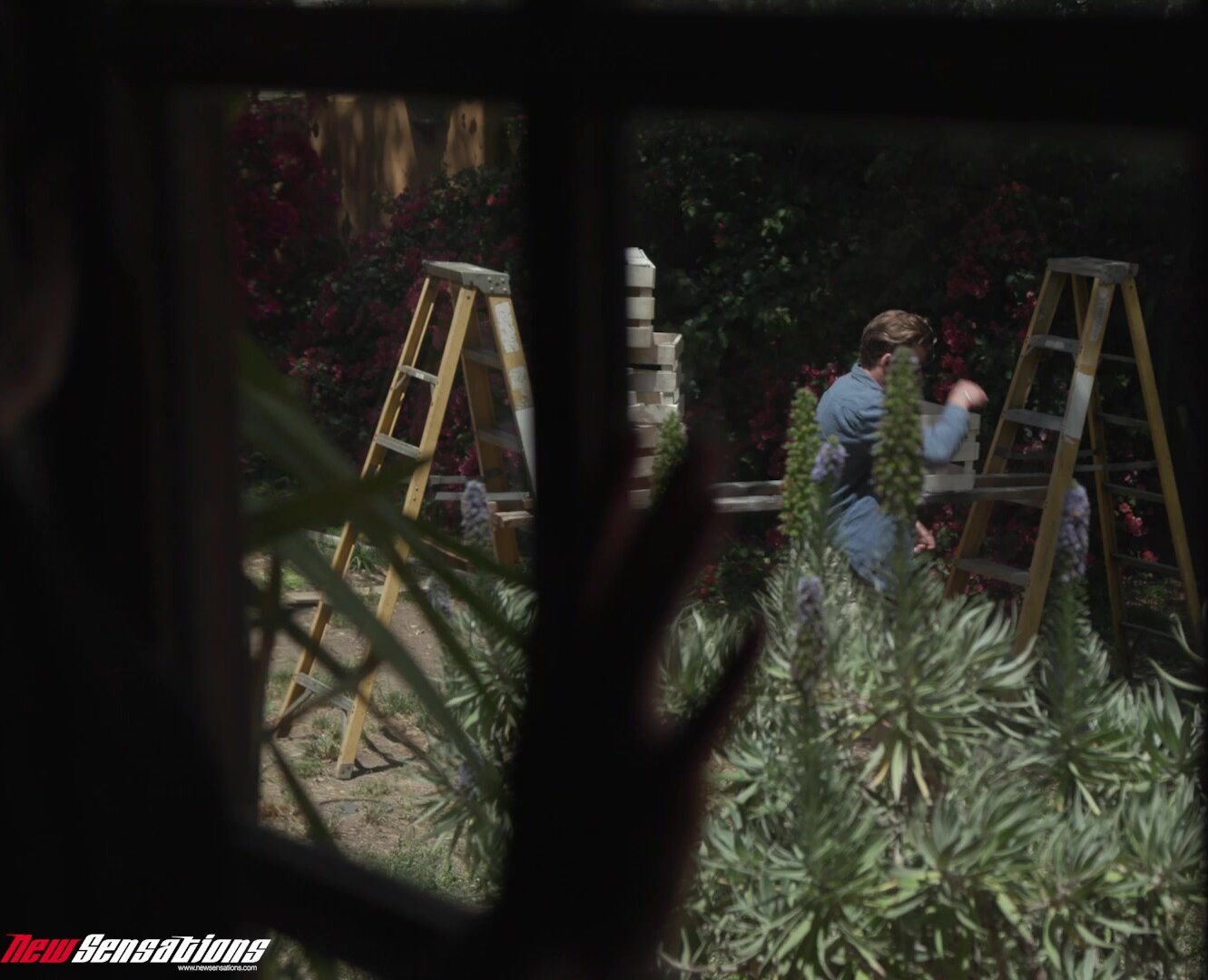 NewSensations - Annie King