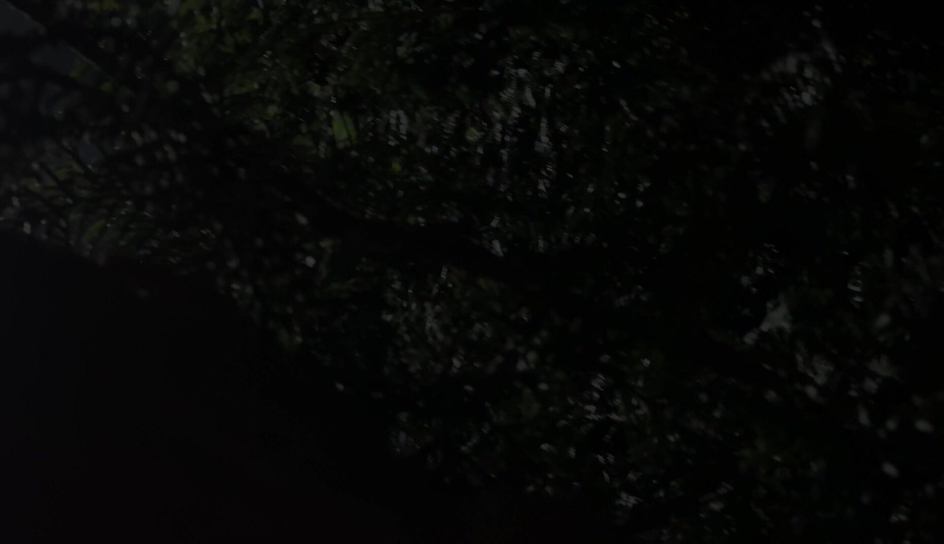 Hunt4K - Picnic at Hanging Cock - Chloe Heart