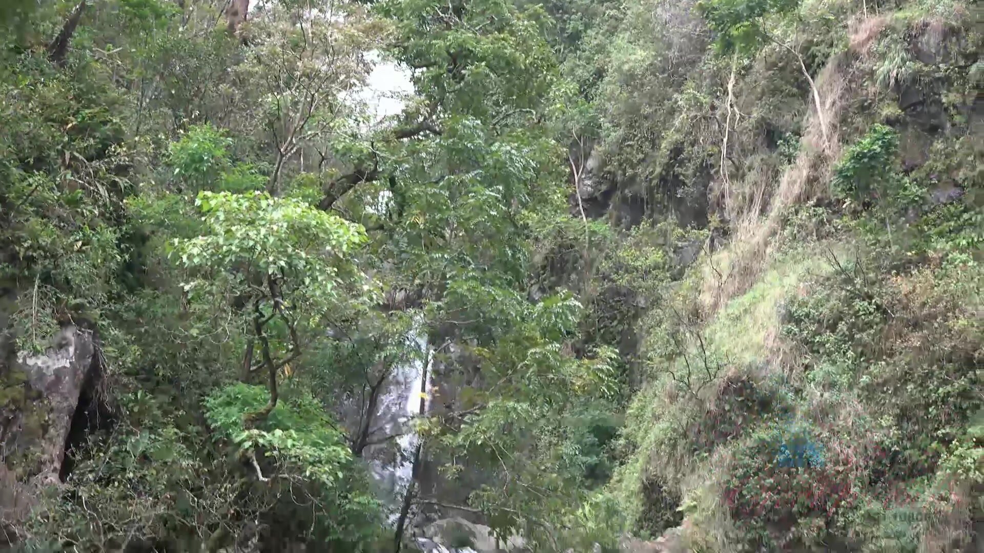 ATKGirlfriends - Sophia Leone - Hawaii Scene #5