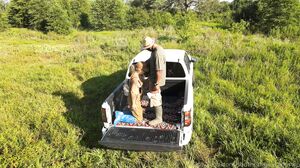 Baree Swamp - Poppi 02