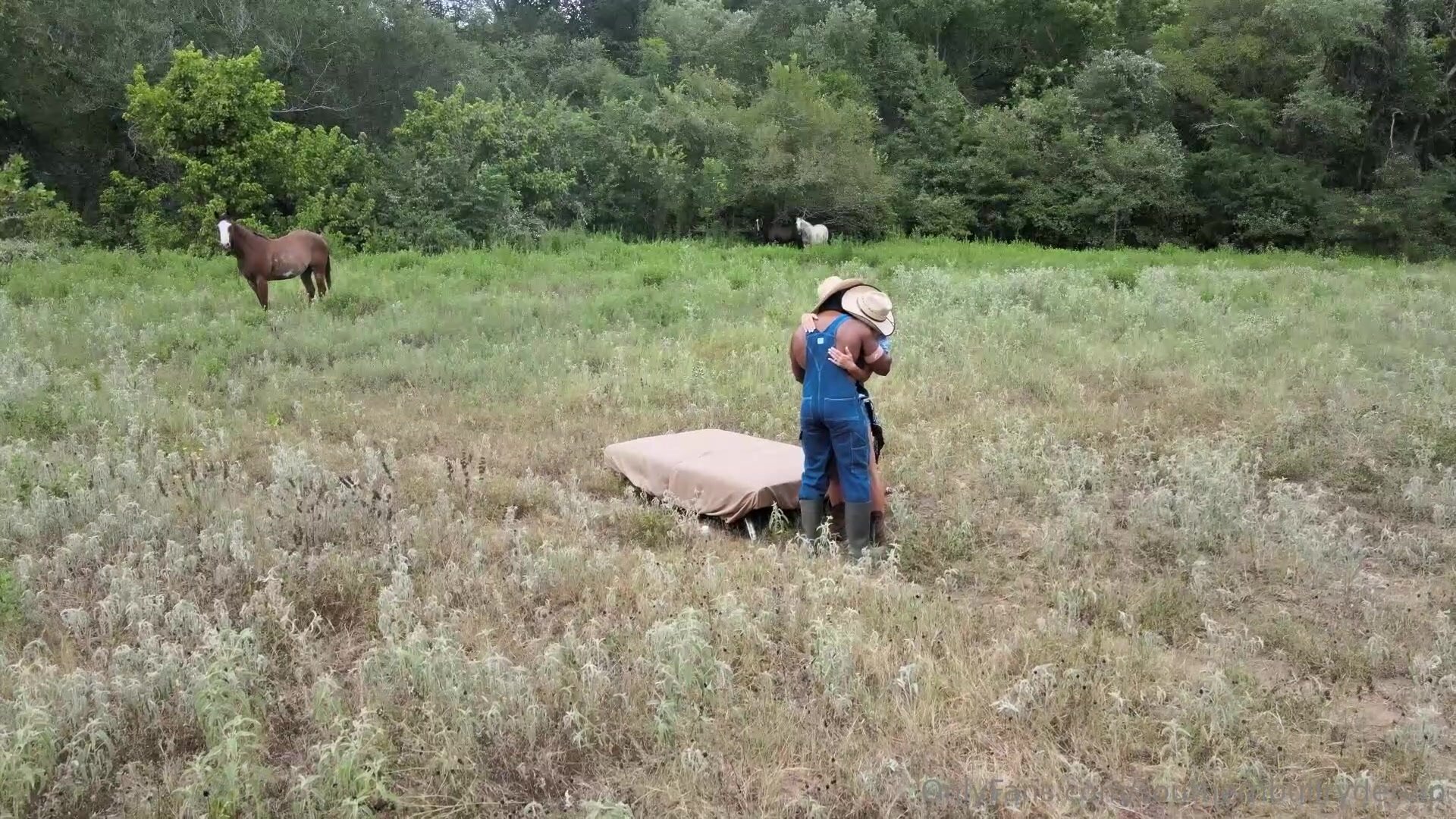 Baree Swamp - Poppi 03 - Southernbullryder In Ranch-3