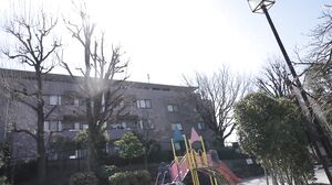 BDA-213 Your sexual life will be 10 times more fulfilling! Hibiki Otsuki's fetish development seminar