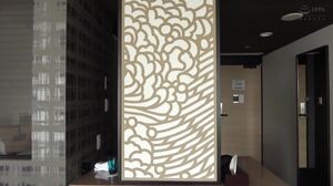 PRIN-051 Reverse Bunny VS Reverse Bunny Big-Breasted Cinderella VS Divine-Breasted Kaguyahime Super Luxury 179 Minutes Double Feature Super Limited Edition