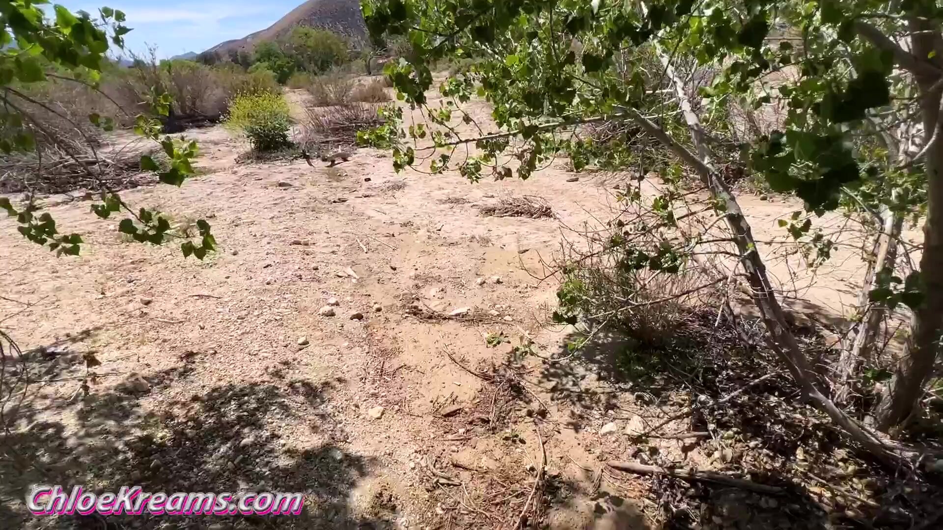 ChloeKreamsVip - OnlyFans #02