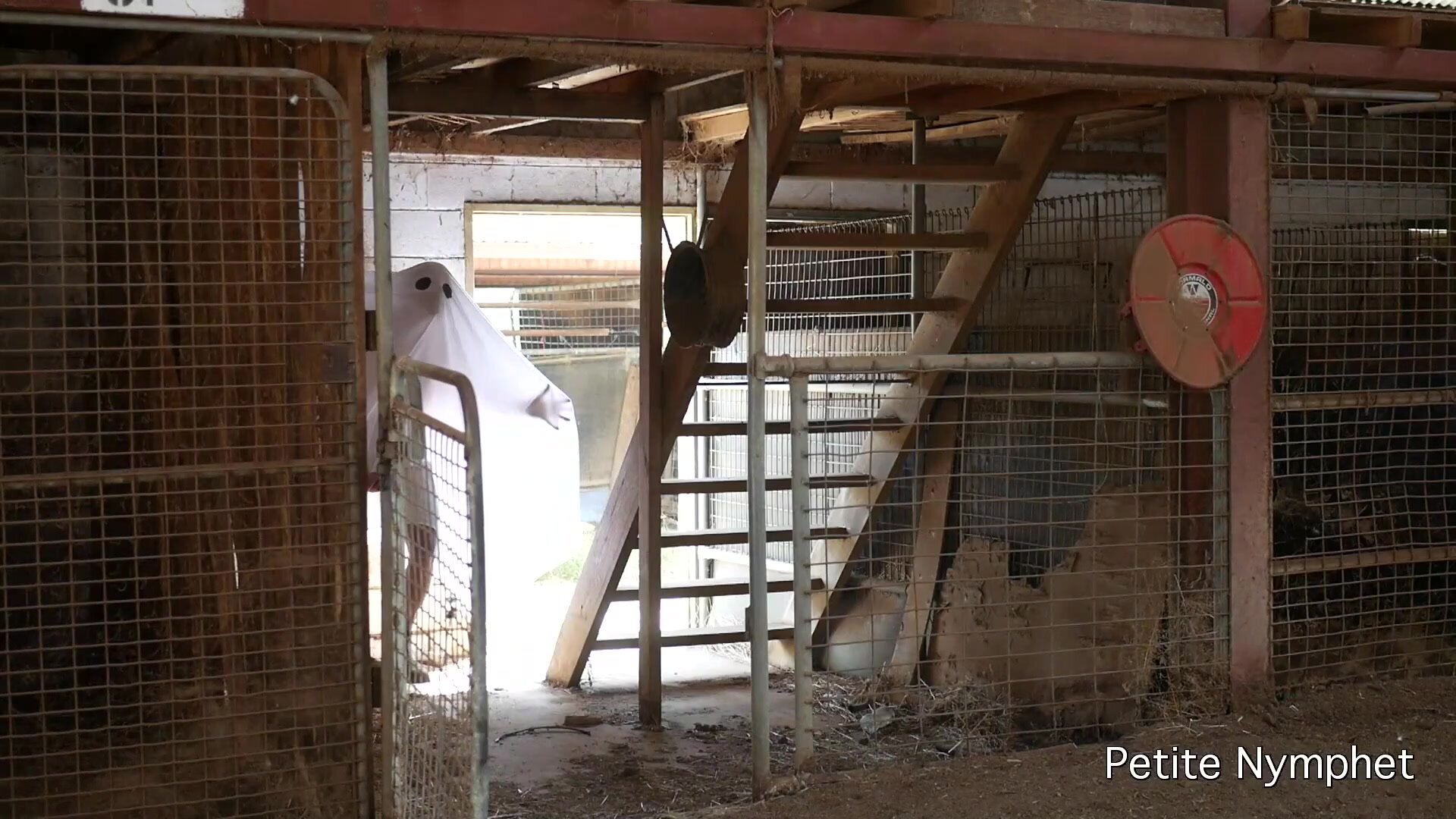 Naughty Nymphet - Ghost Thruster Watch Me Get Fucked Creampied By