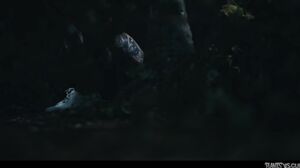 PlantsVsCunts - Mag Numb - The Book Of Curses