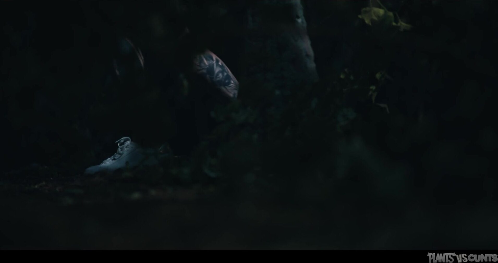 PlantsVsCunts - Mag Numb - The Book Of Curses