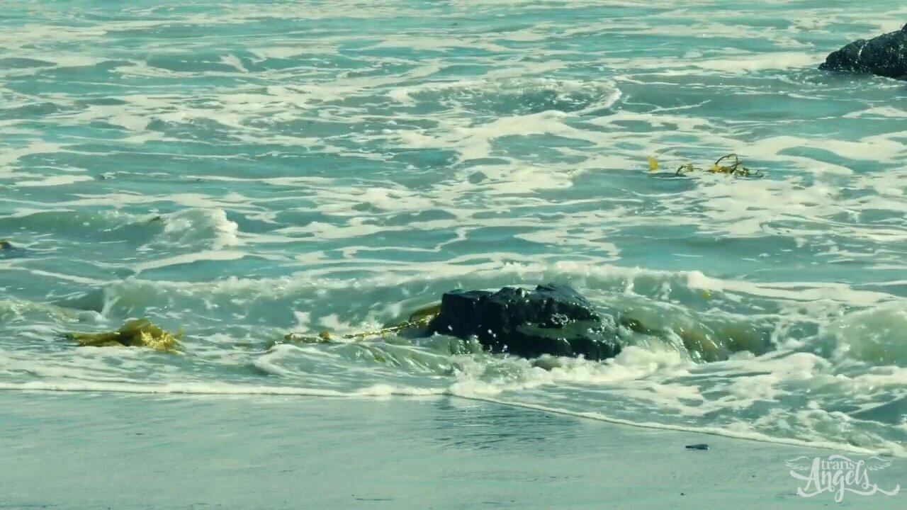 Lance Hart & Chanel Santini - Wonder Woman: A XXX Trans Parody