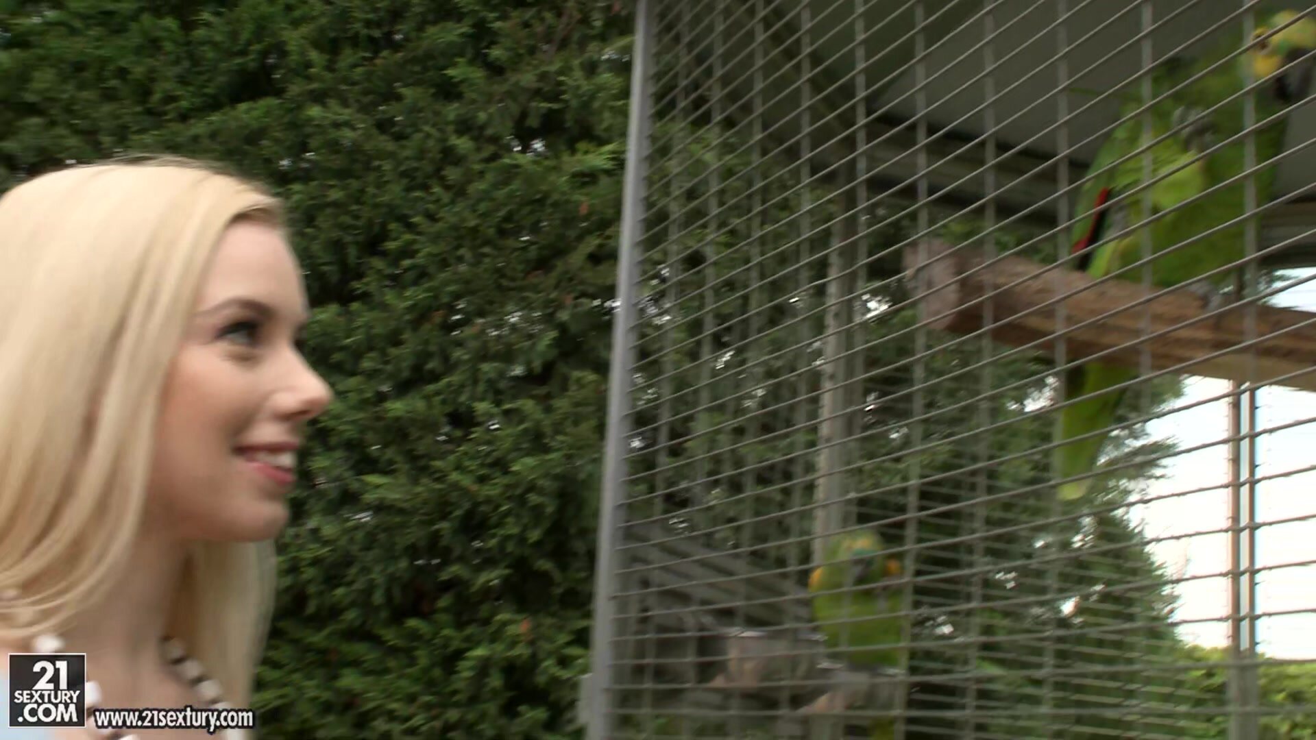 21 Sextury - Pix And Video - Money Talks - Nesty