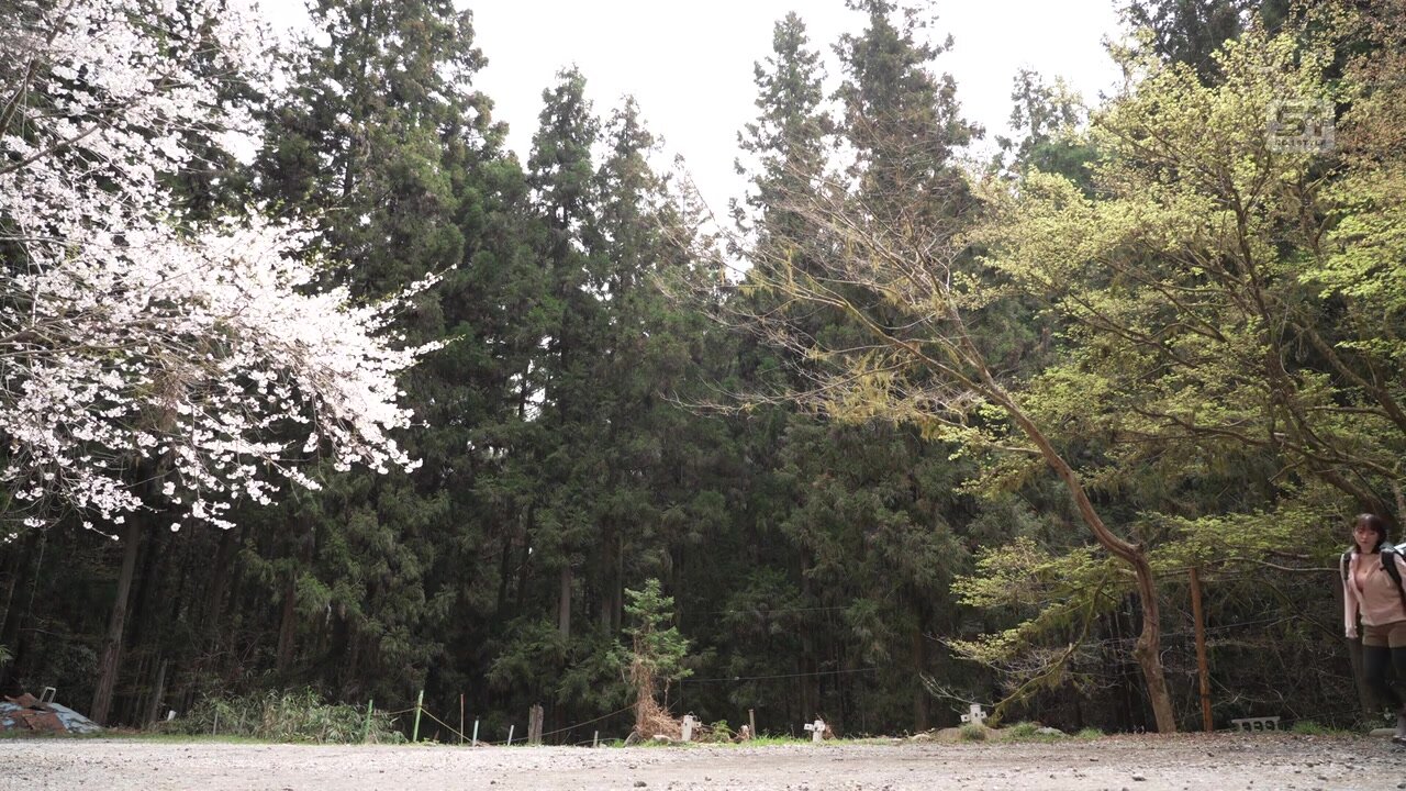 SONE-970 A standout K-cup solo camper is attacked at a campsite deep in the mountains where no one comes to help! Loose-chested camping Mei Washio