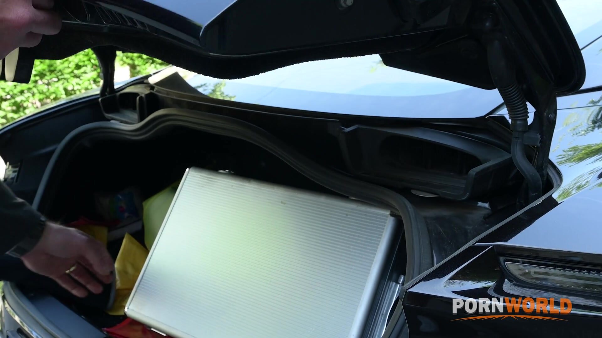 PornWorld - Alexa Flexy And Dina Joy