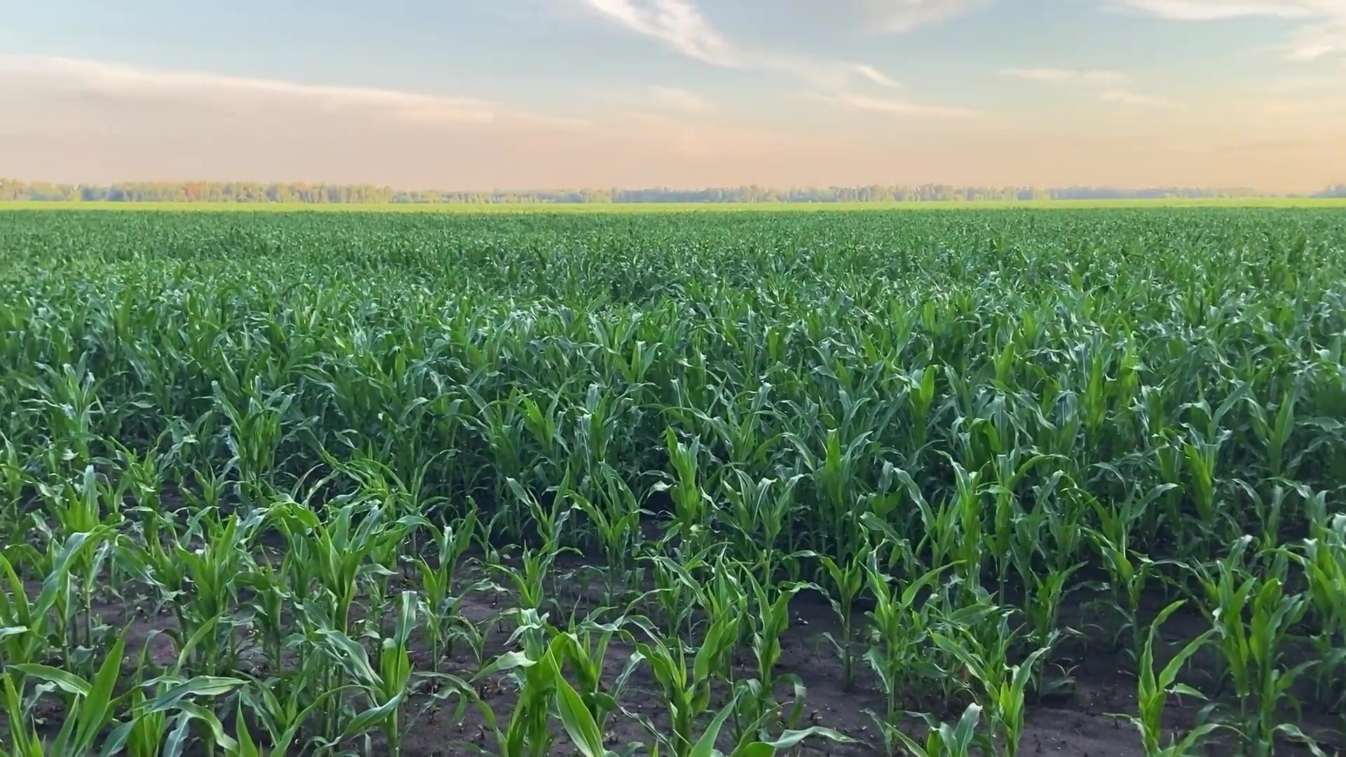 JuliaSayNo - PornHub #22 2