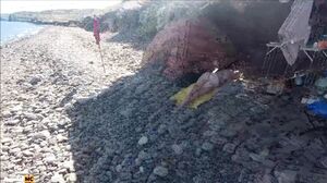 Big ass hot babe creampied on the beach