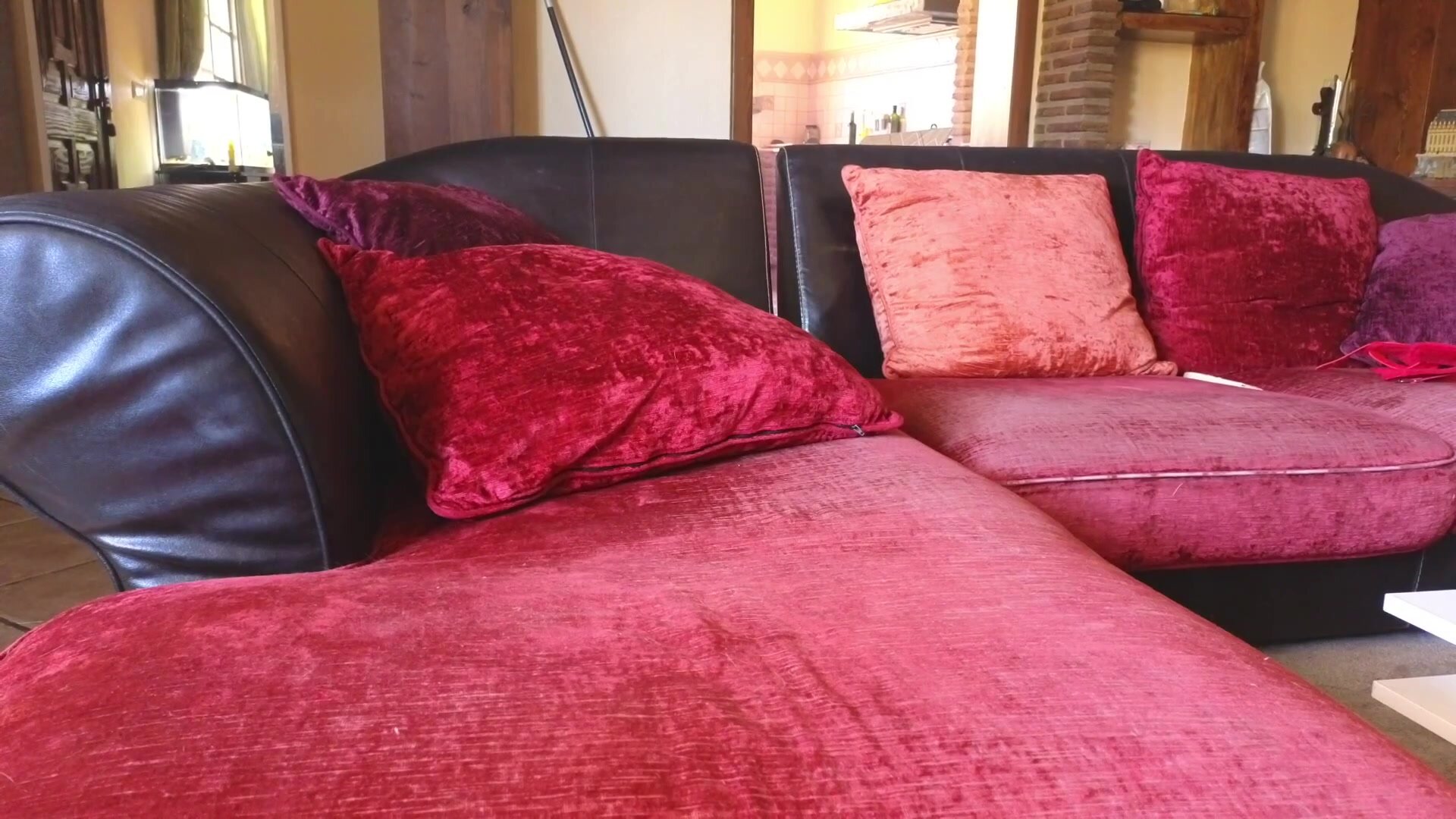 CatAndDick - Full Livestream in the Living Room With a Lot of Blowjob and a Facial at the End