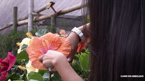 Maria Antonia Alzate Alex Moreno - Petite Latina Gets Picked Up And Fucked