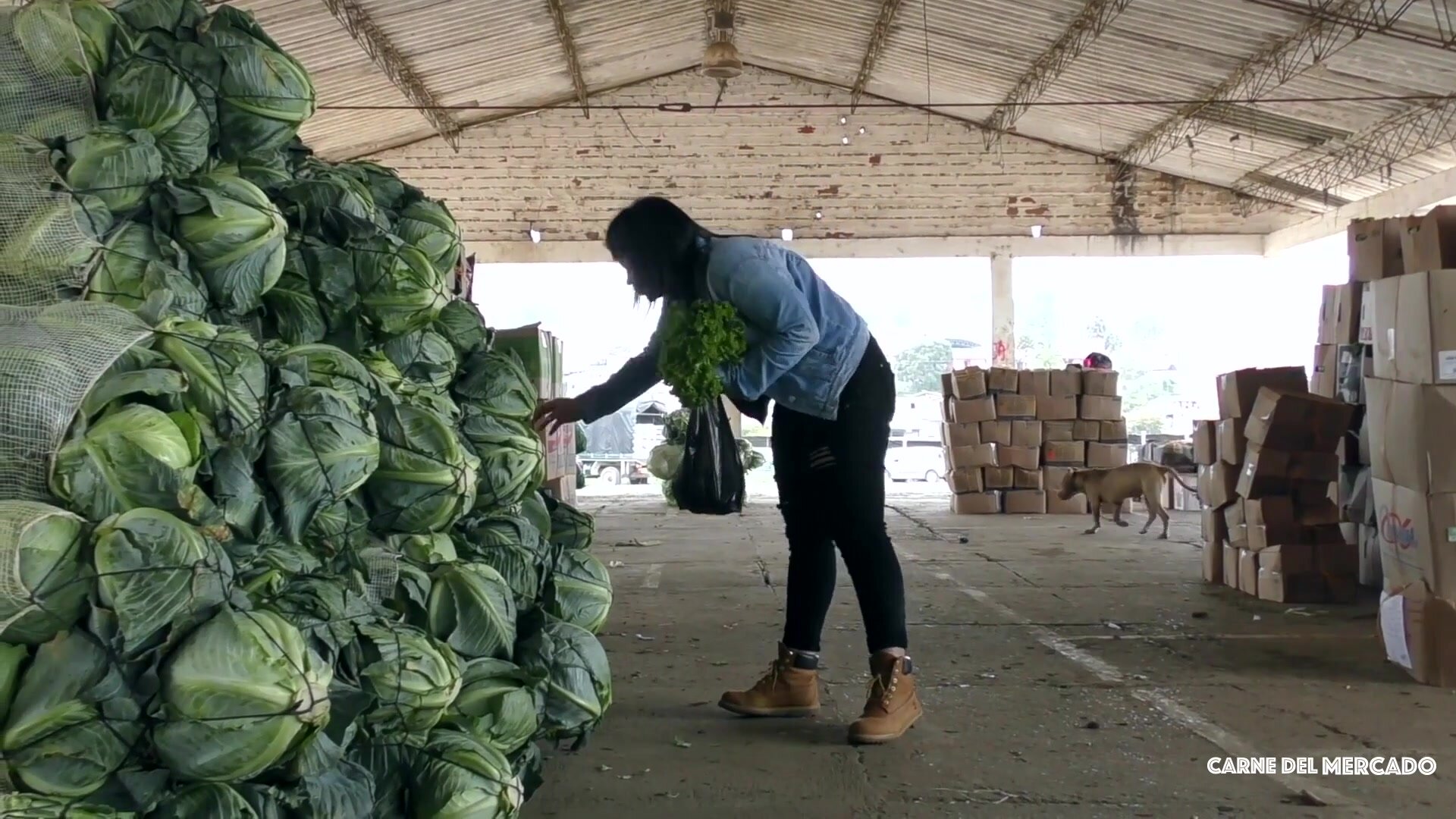 Xiomara Soto Pedro Nel - Colombian Chick Gets Her Pussy Fucked