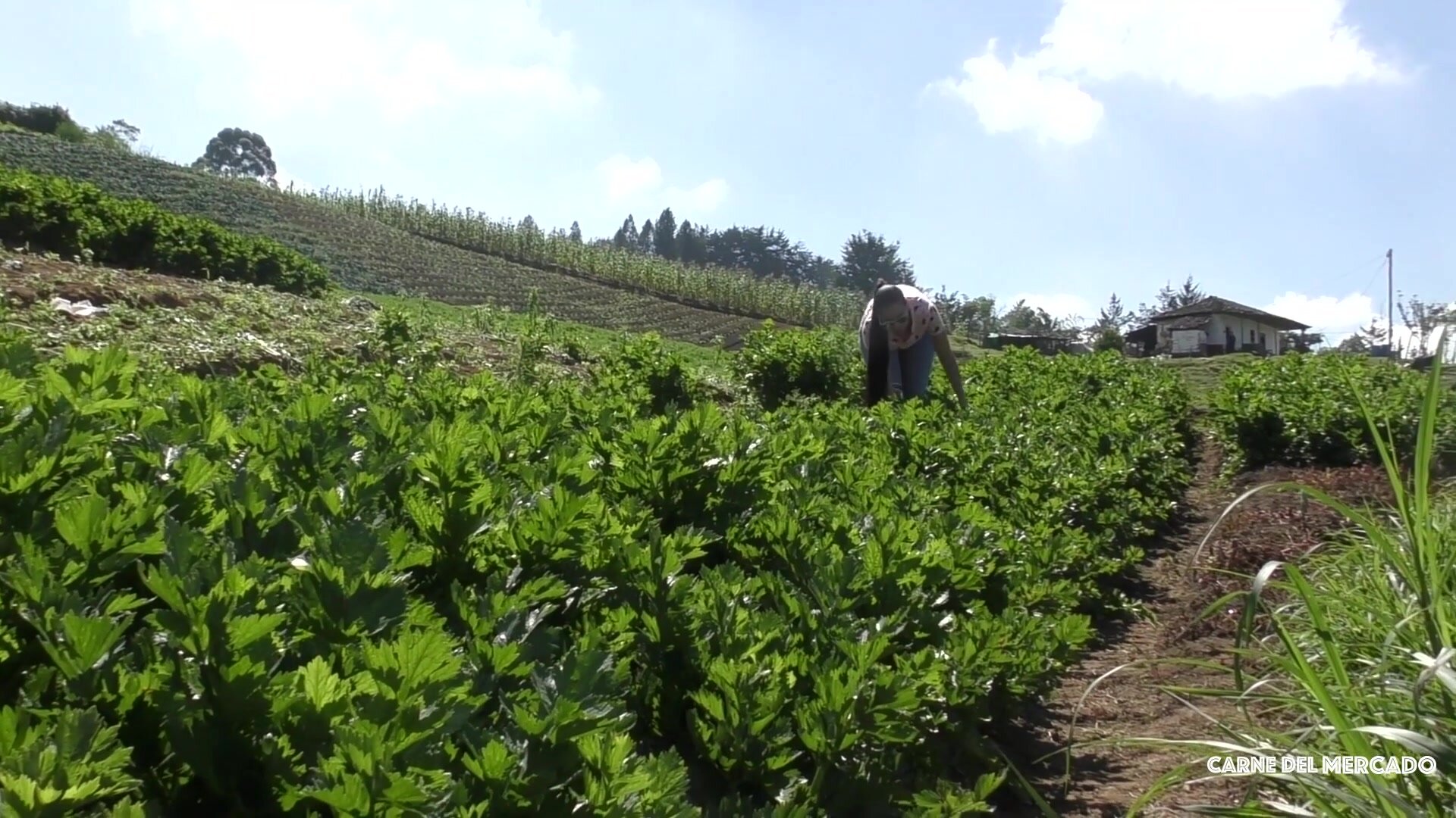 Andreina De Luxe Logan Salamanca - Amazing Colombian Girl Enjoys Hard Sex