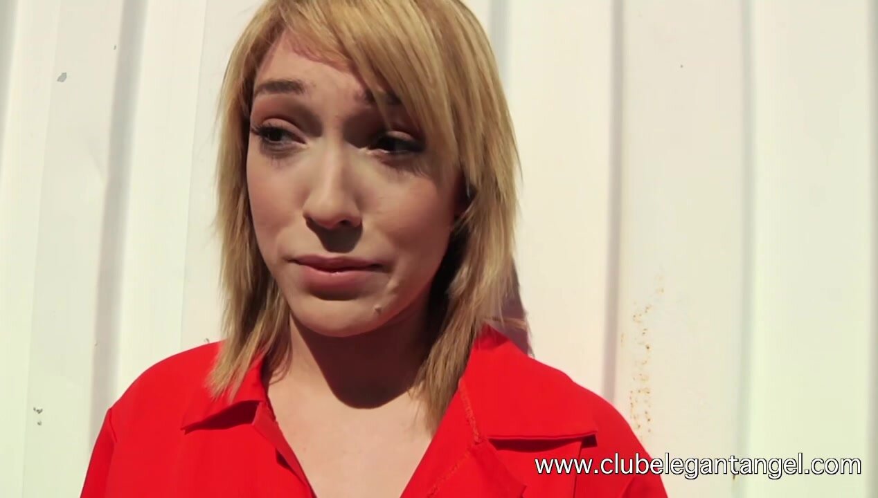 Lily LaBeau, Bobbi Starr - Prison Girls