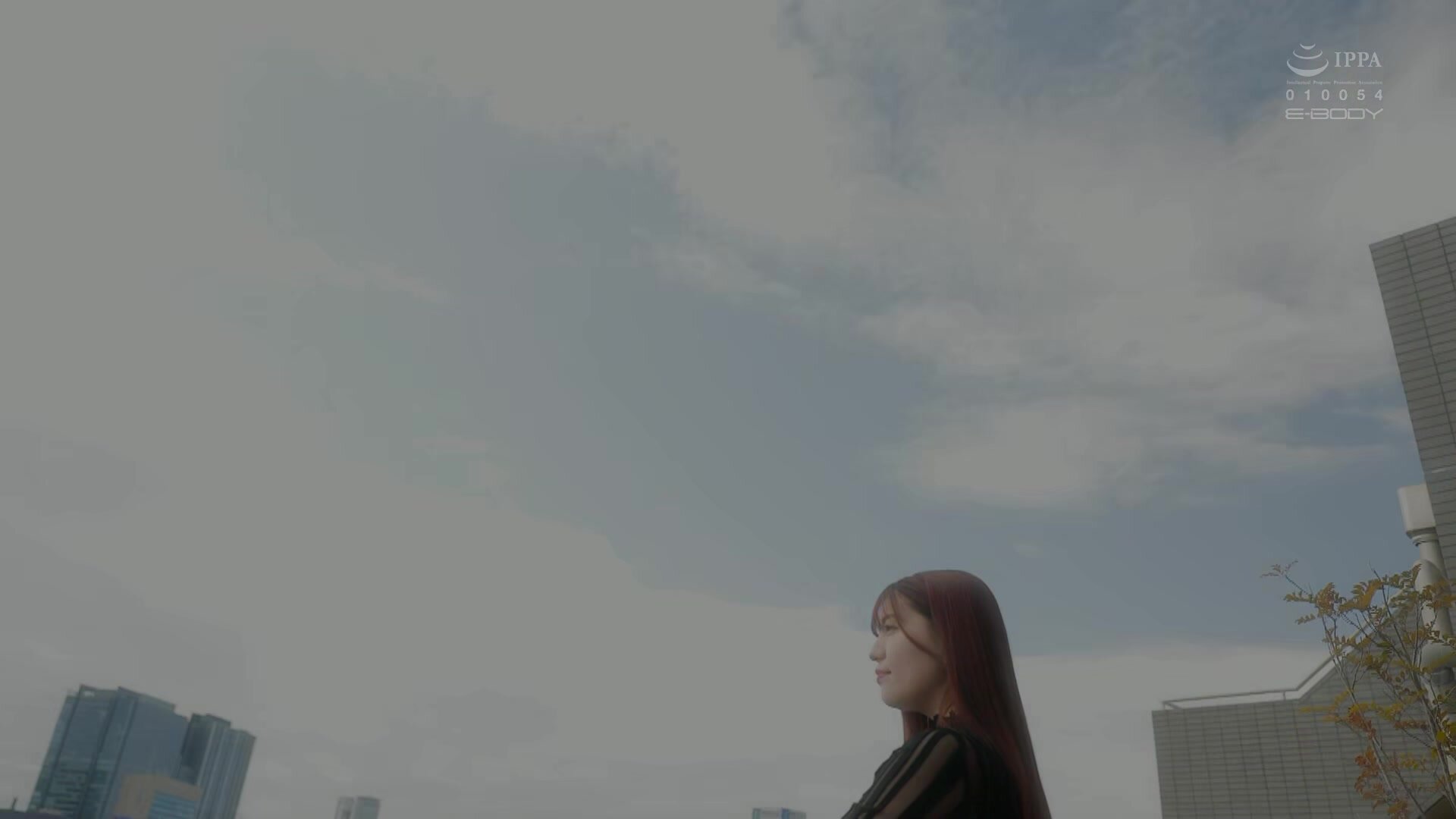 EBWH-007 Takamine Flower's International Flight First Class CA Glamorous Body Reika Takeda AV Debut