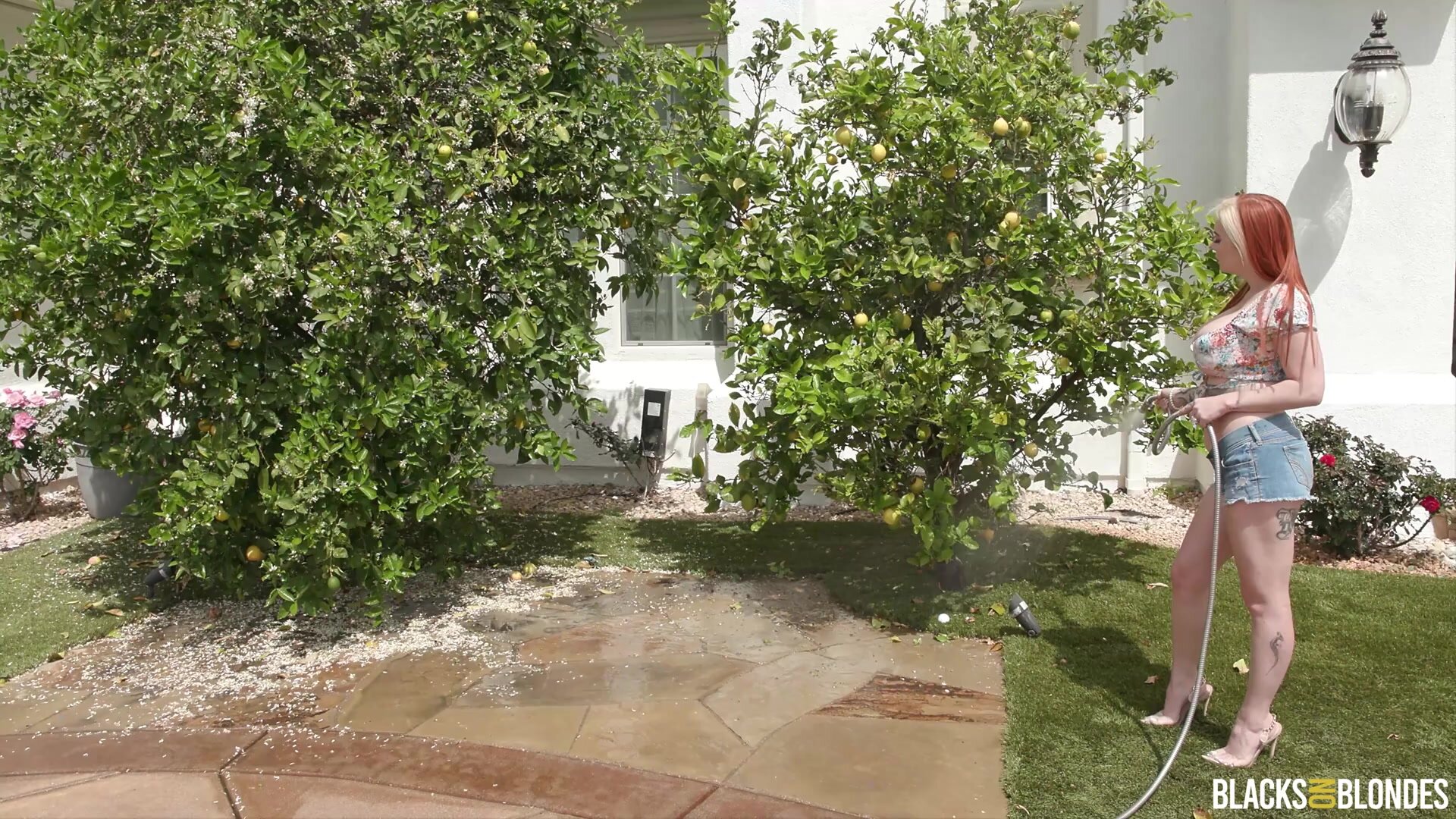 BlacksOnBlondes - Cubbi Thompson