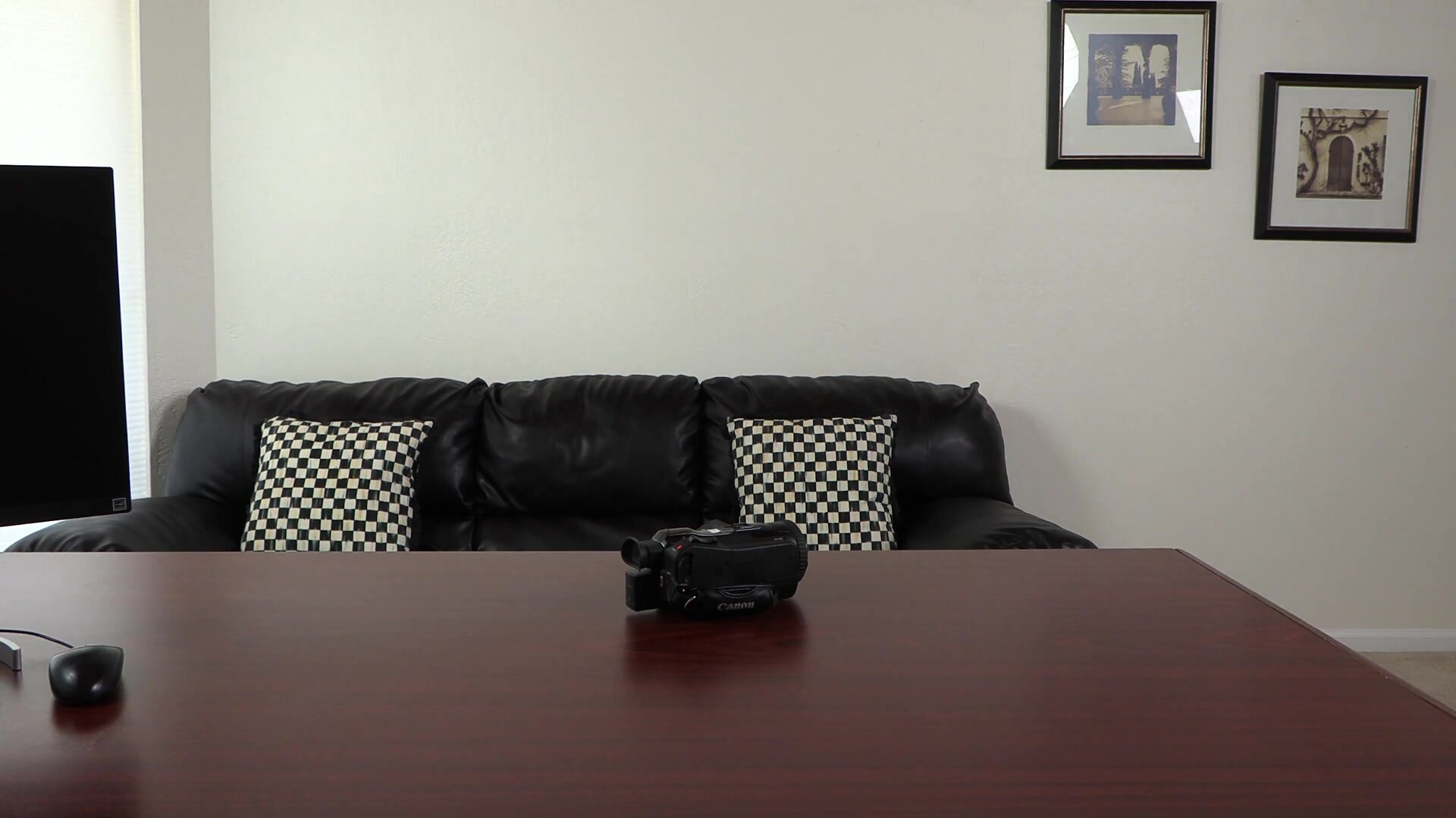 BackroomCastingCouch -  Madalina Moon