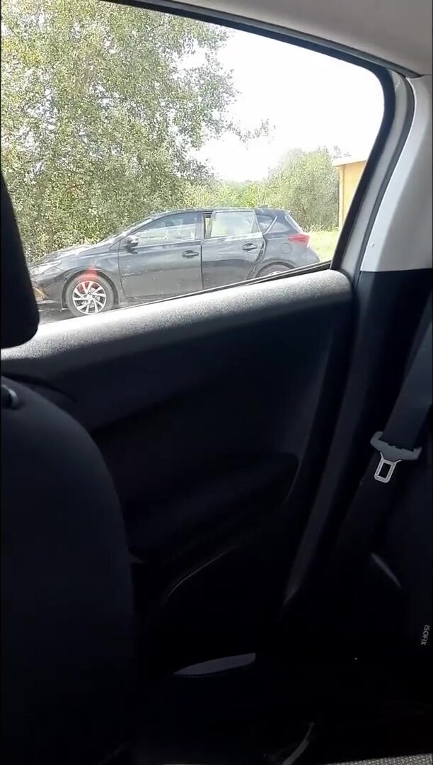 NemiBDesire - Hey man, share your slutty wife with me in the car I want to fuck her mouth - Part 1