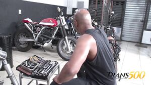 Trans500 - Carla Novaes - Cocking Ms Novaes