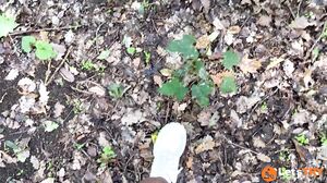 Letstryhard - Petra 2