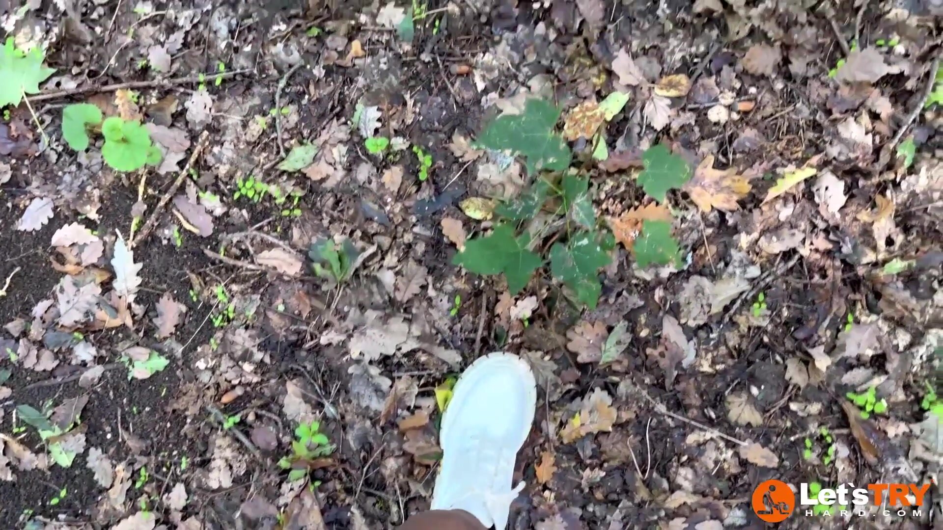 Letstryhard - Petra 2