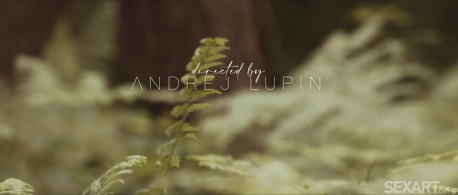 Asandra Dewy - Hand To Hand