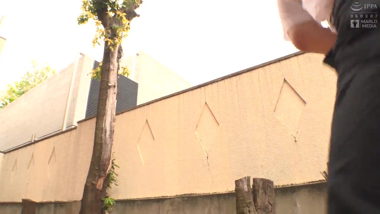 NMSL-026 A plain glasses-wearing, big-breasted older sister is a perverted slut exclusively for her younger brother, Hibiki Amemiya