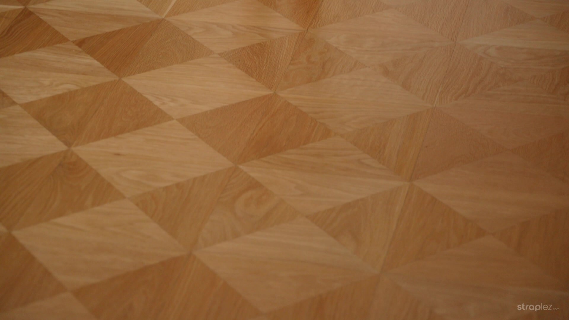 StrapLez - Casey Nohrman And Nikoleta - The Playroom