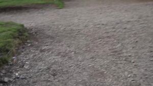 CelesteAlba -  OnlyFans #009