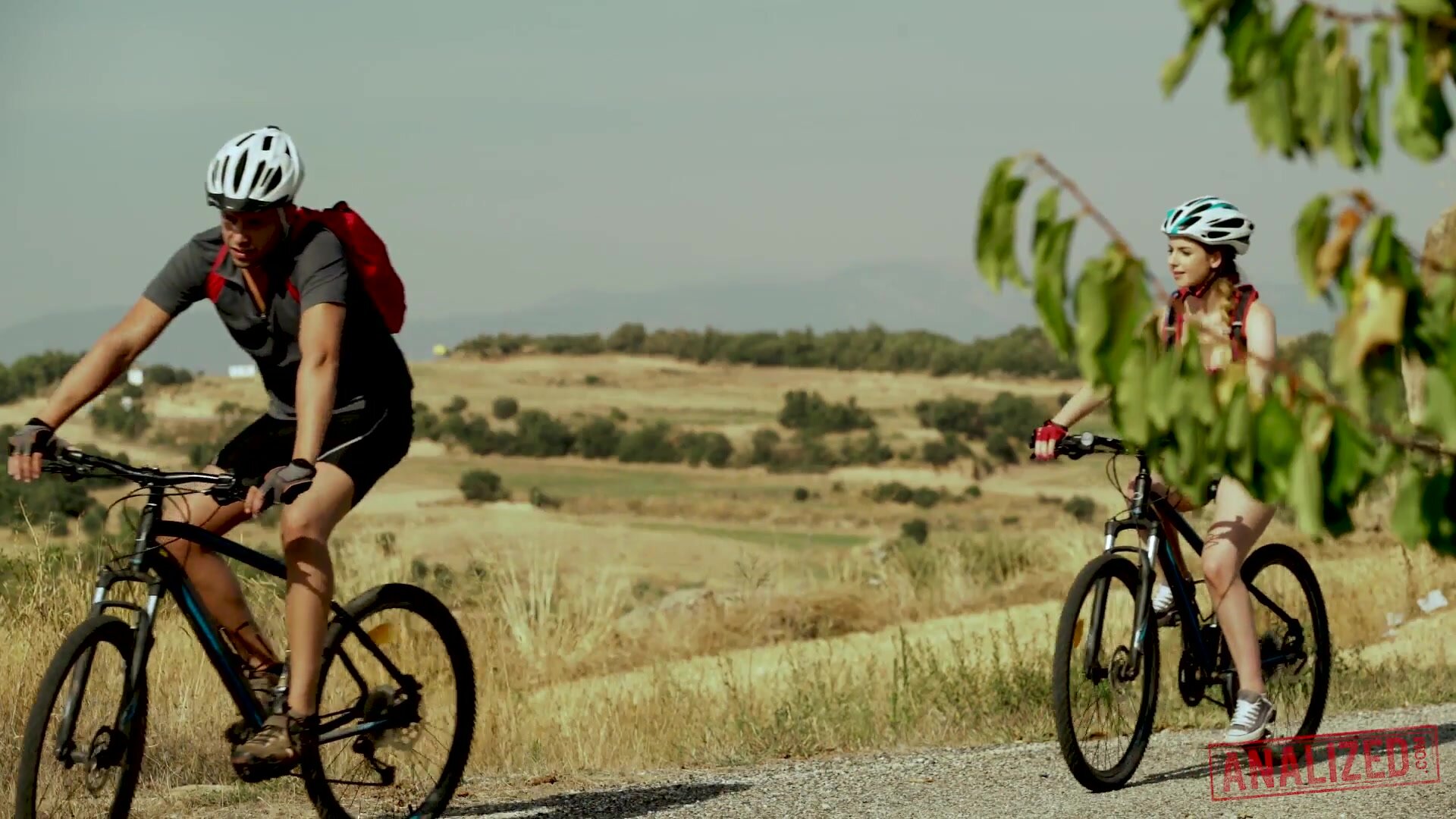 Analized - Stellacox Gapinganal