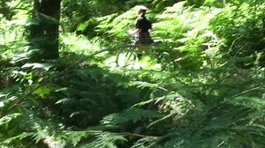 Erin Electra - Anal Sex With My Younger Stepbrother In The Woods