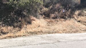 Erin Electra - Blonde Gets Creampie From Personal Trainer Outdoors