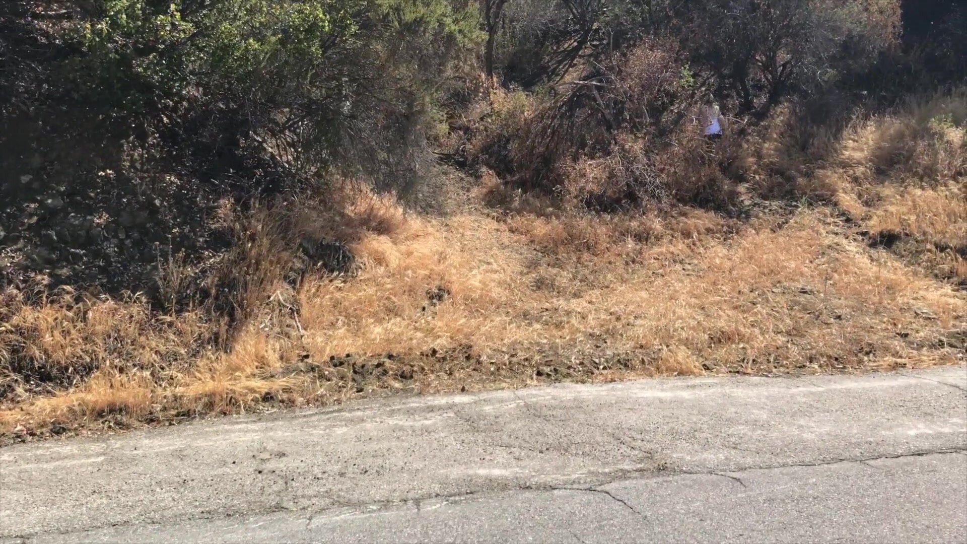 Erin Electra - Blonde Gets Creampie From Personal Trainer Outdoors