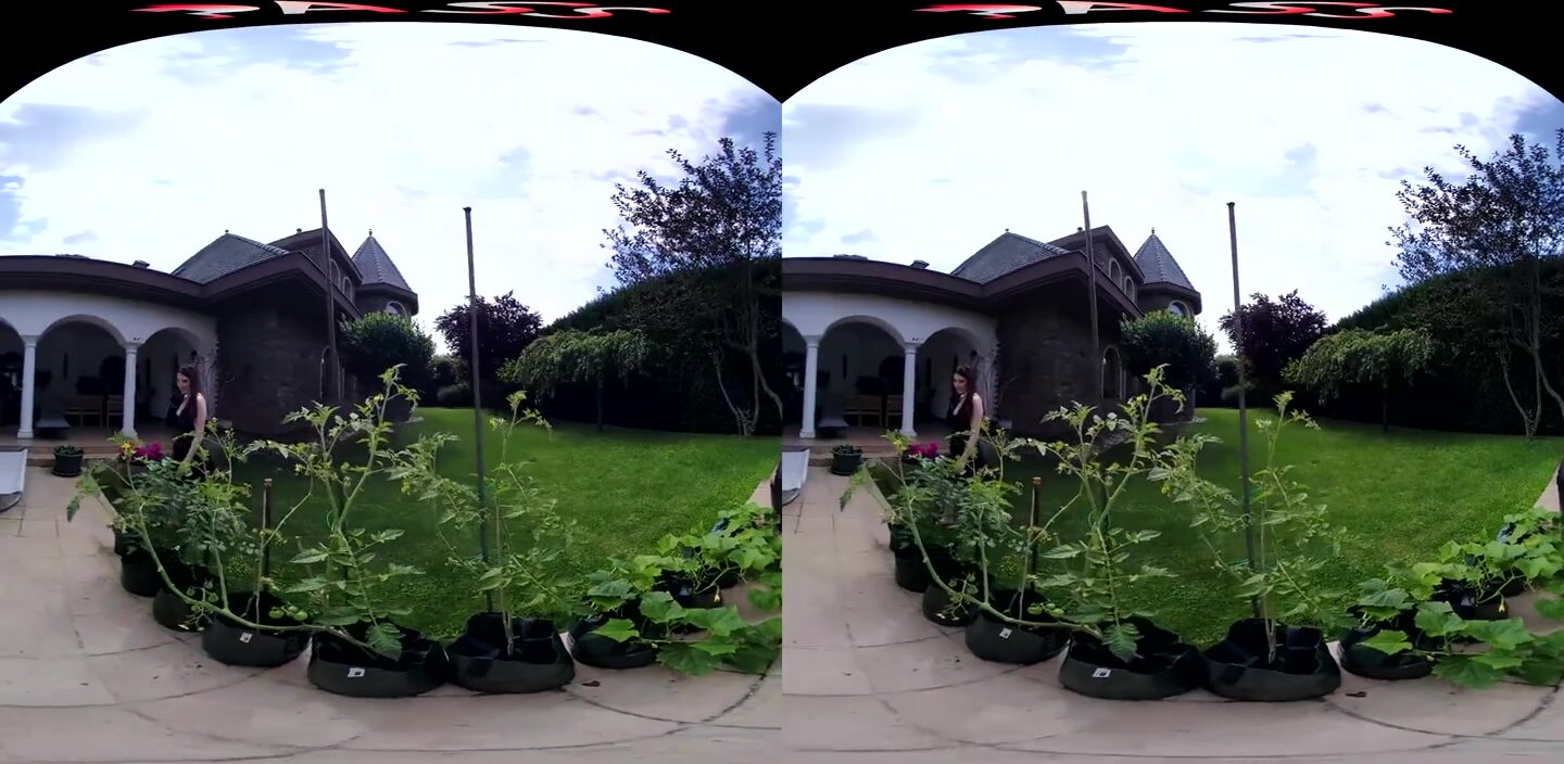 Mia Evans - Picking Cherries In Pécs