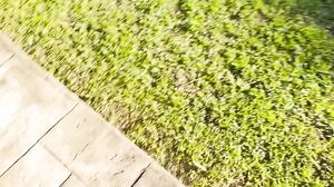 Aurora Angel - Fansly #093