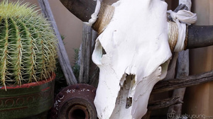 Afterglow s01 ElleAlexandra